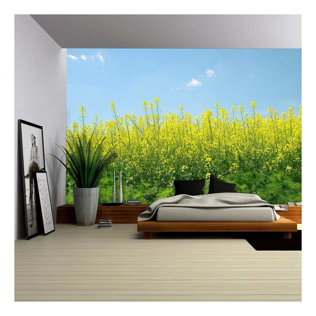 Details about   Photo wallpaper Wall mural Removable Self-adhesive Rapeseed field 