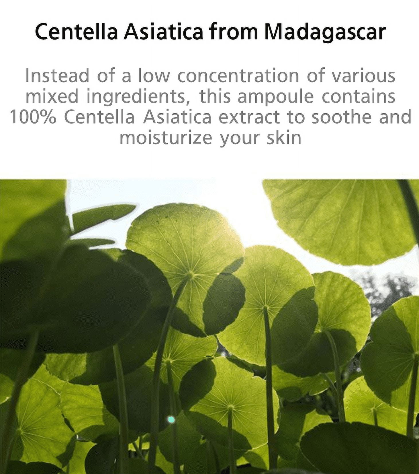 SKIN1004 Madagascar Centella Ampoule 100ml