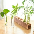 thumbnail image 3 of Desktop Plant Propagation Station, Dingrich 5 Glass Test Tube Plant Terrarium with Wooden Stand for Hydroponic Plants Home Office Home Decoration, 3 of 10