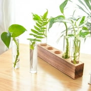 Desktop Plant Propagation Station, Dingrich 5 Glass Test Tube Plant Terrarium with Wooden Stand for Hydroponic Plants Home Office Home Decoration