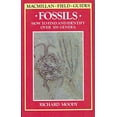 thumbnail image 1 of Pre-Owned Fossils Paperback, 1 of 1