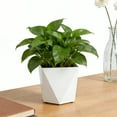 thumbnail image 5 of Diamond-Shaped Flower Pot, Thickened White Plastic Planter, Modern Indoor Plant Pot for Living Room, 1-Piece Set, 5 of 6