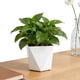 thumbnail image 5 of Maceta en forma de diamante de plástico blanco grueso, adecuada para plantas y flores de interior, diseños simples y modernos para salas de estar. Maceta de plástico., 5 of 6