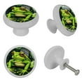 thumbnail image 4 of Frog Fluorescent Drawer Pulls with Screws - Round 4-Pack Glow-in-the-Dark Knobs for Cabinets, Wardrobes, and Dressers - Furniture Decor with Cupboard Handles, 4 of 6