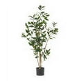 thumbnail image 5 of GDF Studio Forgan Artificial Laurel Tree, 4' x 1.5', 5 of 5