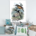 thumbnail image 3 of Designart 'The Paradise Birds on a Tree Branch' Traditional Framed Art Print, 3 of 4