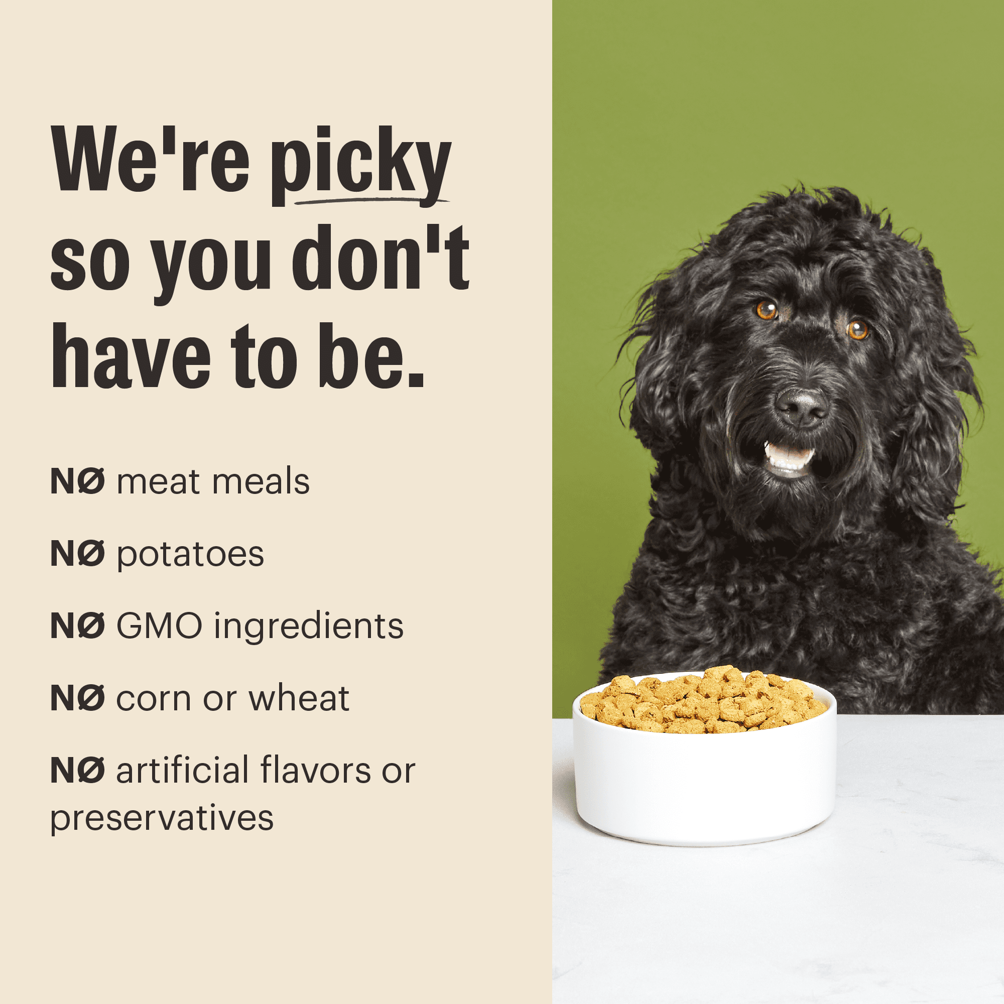 The Honest Kitchen Human Grade Essential Clusters Dry Dog Food Whole Grain Chicken Dry Dog Food 5 lb Bag