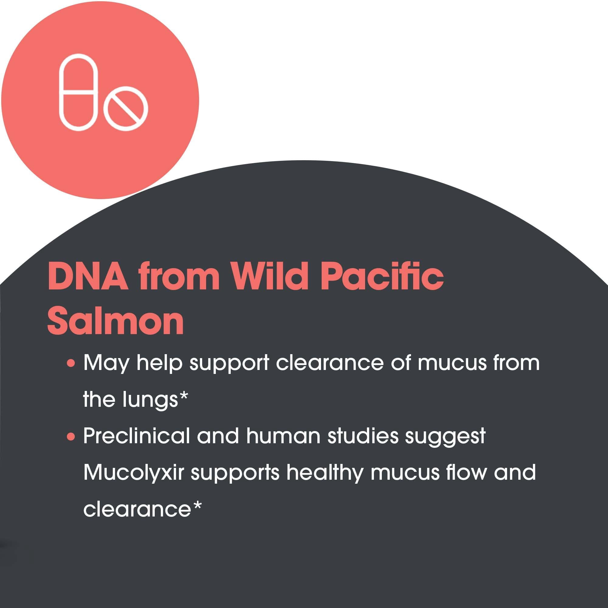 ARG Mucolyxir - Mucus Support Liquid Supplement - Salmon DNA Marine Extract Drops - Respiratory & Airway Support - Hypoallergenic & Non-GMO - 240 Servings - 12 mL
