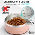 thumbnail image 2 of Bonteck Cuenco Para Perros – Agua Y Comida Para Perros, Cuencos De Metal Antideslizantes Y Antioxidantes, Grande, A Prueba De Derrames, Aislado, Doble Pared, Plato Para Mascotas Para Perros, Gatos Y M, 2 of 5