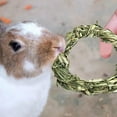 thumbnail image 4 of ievspot 1 Pcs Rabbit Chew Toys Nature Grass Ring Toys for Hamsters Guinea Pigs Gerbils Rat Pet Cage Entertainment Accessories, 4 of 8