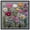 Black Frame, variant on Fabric Flora Canvas Floral Prints by Art Remedy, Black Frame, 40 x 40