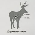 thumbnail image 3 of Ez Aim Deer Vitals Corrugated Target, 23 X 35, 3 of 6