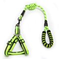 thumbnail image 1 of Dog Harness And Leash Set, Adjustable Reflective Vest Harness For Small Medium Large Dogs Outdoor Training Walking, Comfortable Oxford Easy Con _jiue, 1 of 2