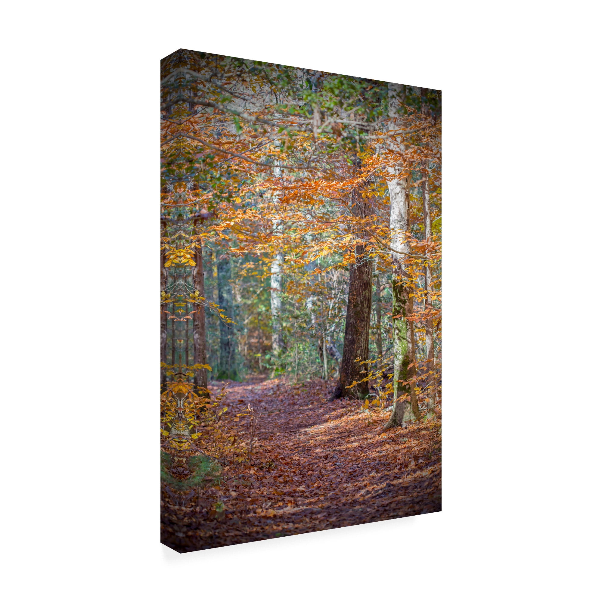 Trademark Fine Art 'Rust Fall Forest' Canvas Art by Brooke T. Ryan