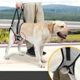 thumbnail image 6 of Convenient Dog Sling for Medium Large Dogs Back Support Lifting for Ingury Joint, 6 of 15