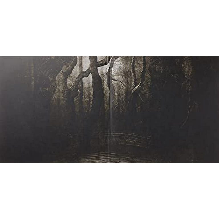 欧2LP Opeth Blackwater Park MOVLP084 Music On Vinyl /00520 Opeth – Blackwater Park LP 2010 Music On Vinyl – MOVLP084