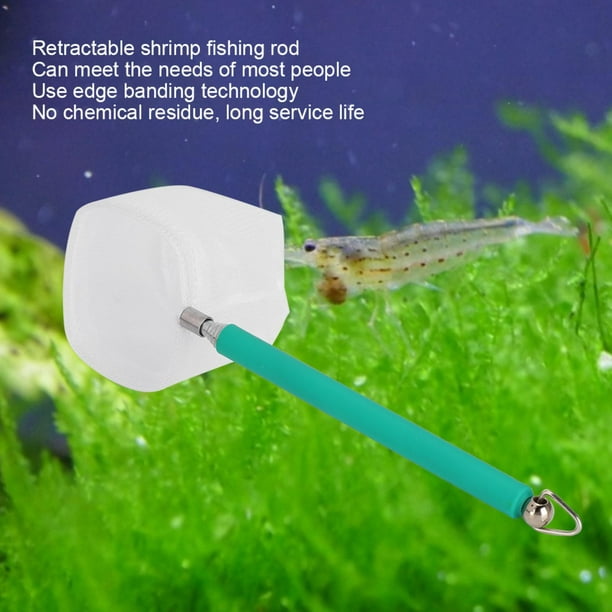 Haofy Shrimp Fishing Net Retractable Catch Net, Fish Tanks Catch Net, For  Fish Tank Aquarium 