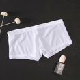 thumbnail image 1 of Ultra-thin Transparent Boxer Mesh Panties Shorts for Men - Seamless UnderwearNudeXL, 1 of 5