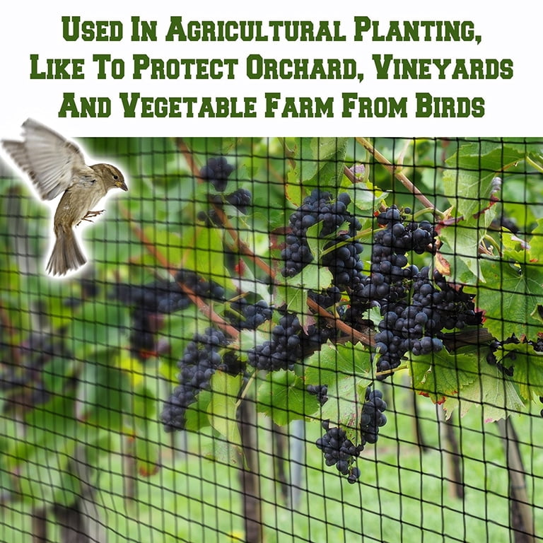 Bird Netting Tractor Supply