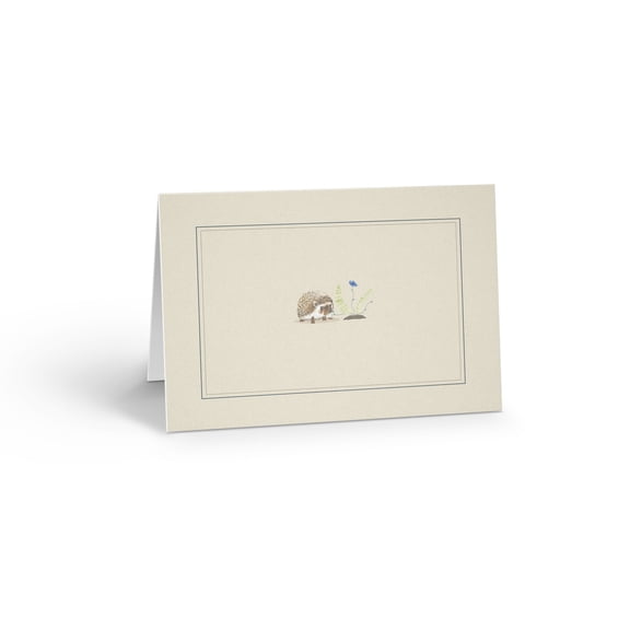 Adorable Hedgehog Blank Note Card - 10 Note Cards with Envelopes - B14434