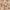Rose Gold, variant on Perphy Glitter Open Toe Crisscross Strap Block Heel Sandals for Women