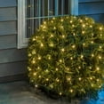 thumbnail image 2 of Philips 99ct LED Dazzle Mini Net String Lights Warm White with Green Wire, 2 of 2