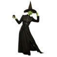 thumbnail image 1 of Classic Witch Adult Medium, 1 of 1