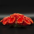 thumbnail image 2 of DOLITY Plantes Artificielles Réalistes en Corail Rochers Fournitures Fond Résine Rouge, 2 of 7