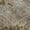 Brown, variant on Addison Rugs Mayfield Premium Machine Washable Transitional Floral Wheat Rectangle Rug, 10' x 14'
