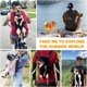 thumbnail image 5 of Mochila para mascotas, mochila ajustable para mascotas, bolsa de viaje para perros, transportador para mascotas con diseño ventilado (M, amarillo claro), 5 of 5