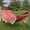 Double pink tassel hammock, variant on unbranded Bohemian Style Hammock with Fringe, Blend Fabric, Extra Thick Ropes, 450lb Capacity, Outdoor/Garden/Patio/Wedding Decor, Includes Carry Bag