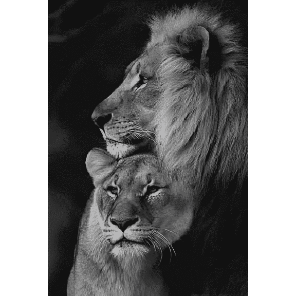 Large Canvas Painting for home/wall decor 31" X 24"