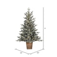 thumbnail image 3 of Vickerman 4' x 33" Gooding Potted Pine Artificial Tree, Warm White LED Mini Lights, 3 of 4