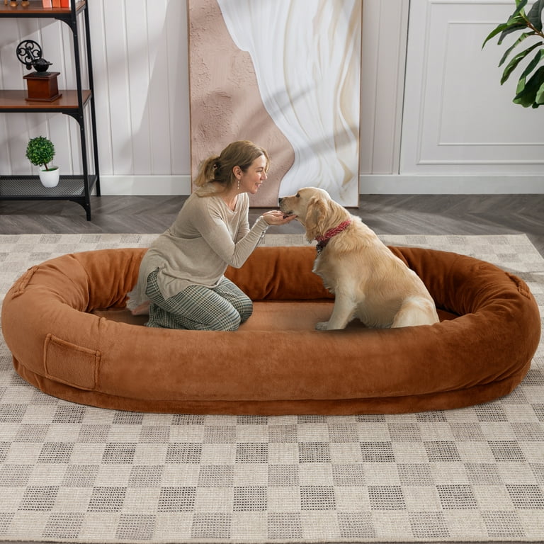 Off the clearance floor dog beds