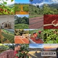 thumbnail image 5 of Papuan 'Timuza' Single Origin Espresso - Roasted by Noble Coffee Roasting - Freshly Ground Coffee - 12oz Bag, 5 of 6