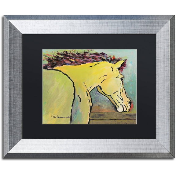 Trademark Fine Art "Waiting for Sunrise" Canvas Art by Pat Saunders-White, Black Matte, Silver Frame