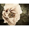 thumbnail image 3 of Perry, Rachel 14x12 Black Modern Framed Museum Art Print Titled - Golden Era Peony I, 3 of 5