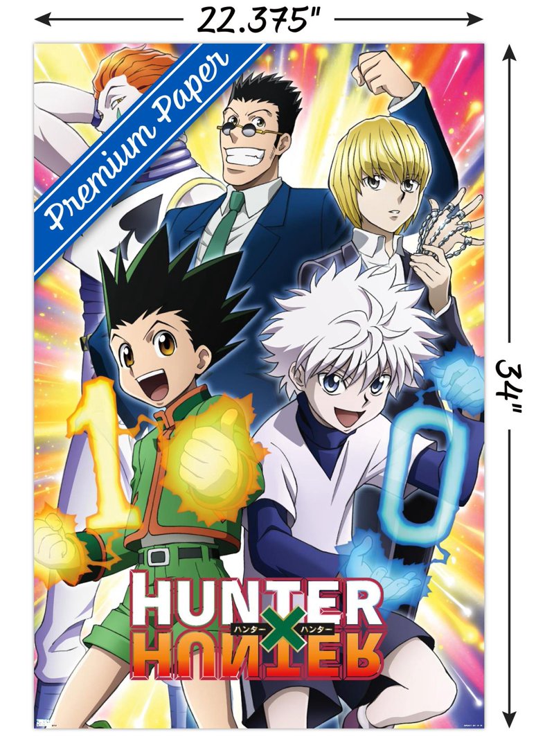 Hunter X Hunter - 10th Anniversary Wall Poster, 22.375