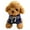 Blue-A, variant on XIANXIAN Teddy Dog Stuffed Animals for Girls and Boys, 7.9-inch, Stuffed Puppy Plush Toys, Cute Teddy Dog Plushies as Birthday Gifts and Easter Basket Stuffers for Baby, Teens, Soft Animals Plush Toy
