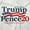 White, variant on Donald Trump for 2024 President Men's Graphic T Shirt Tees Brisco Brands S