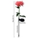 thumbnail image 5 of Lámpara Solar de crisantemo, 2 uds., luz de jardín, flores artificiales, césped, paisaje, jardín, decoración exquisita, creativa Iluminación y accesorios Crisantemo rosa crisantemo rosa Advancent HA073440-03, 5 of 6