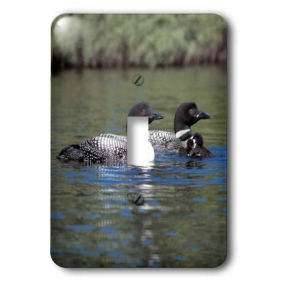 3dRose, Family of Three Loons, single toggle switch