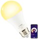 thumbnail image 1 of Homevenus Hvs Bombillas Inteligentes 9W A19 E26 Regulable Sintonizable Luz Blanca Fría Y Cálida Bombilla Led 2500K-6500K Control De Aplicación 2.4Ghz Wifi Conexión De Asistencia Bluetooth Funciona Con, 1 of 1