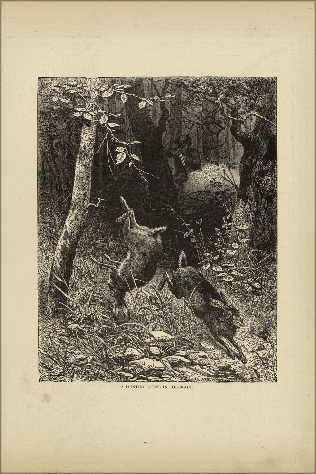 Old Rabbit Hunting Posters 24