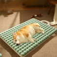 thumbnail image 4 of Ultra Soft Dog Cat Bed Mat with Cute Handle Reversible Plushs Dog Crate Kennel Pad Cozy Washable Thickened Dog Pet Bed Mat for Small Animals,24X16 in （Green）, 4 of 6