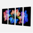 thumbnail image 2 of Abstract Blue Red Flower on Black - Extra Large Floral Wall Art, 2 of 3