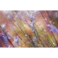 thumbnail image 2 of Devos, Delphine 32x22 White Modern Wood Framed Museum Art Print Titled - Something Magical, 2 of 4