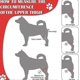 thumbnail image 5 of Dog Elbow Brace, Dog Compression Knee Brace, Elbow And Shoulder Support, Dysplasia, Arthritis, Elbow Calluses, Pressure Sores, Shoulder Dislocation, 5 of 5