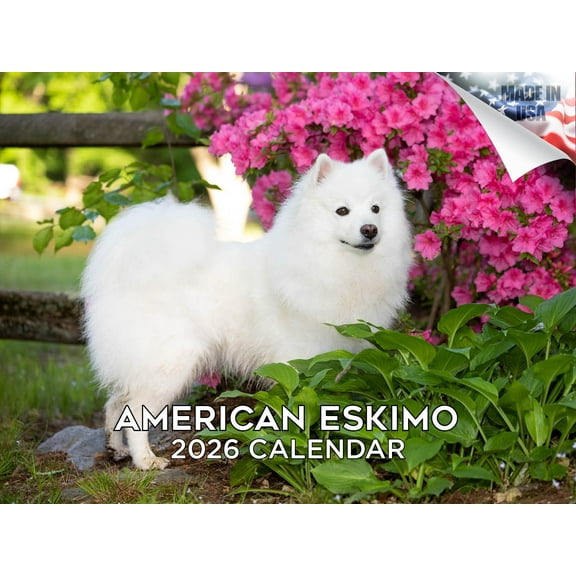 2025 2026 American Eskimo Calendar - Dog Breed Monthly Wall Calendar - 12 x 18 Open - Thick No-Bleed Paper - Giftable - Made in USA