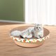 thumbnail image 1 of Rascador para gatos, almohadillas para rascar de cartón, cuenco, sofá, cuenco redondo, cojín para mascotas, nido, cama de salón para gatos pequeños, Naranja 50x50x11cm Salvador Dali Almohadilla para rascar gatos, 1 of 10